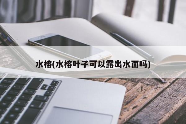 水榕(水榕叶子可以露出水面吗)