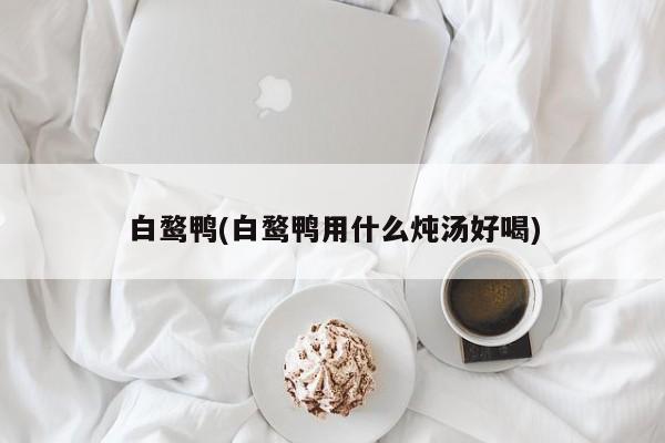 白鹜鸭(白鹜鸭用什么炖汤好喝)