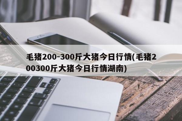 毛猪200-300斤大猪今日行情(毛猪200300斤大猪今日行情湖南)