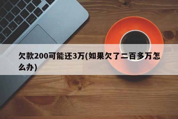 欠款200可能还3万(如果欠了二百多万怎么办)