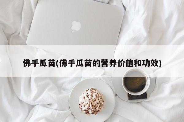 佛手瓜苗(佛手瓜苗的营养价值和功效)