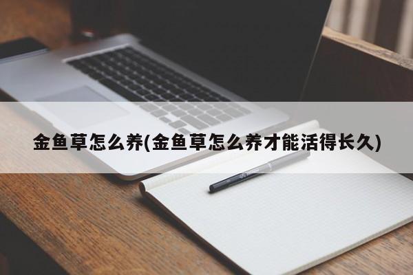 金鱼草怎么养(金鱼草怎么养才能活得长久)