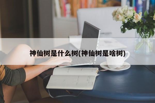 神仙树是什么树(神仙树是啥树)