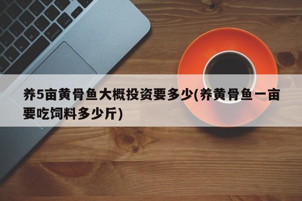 养5亩黄骨鱼大概投资要多少(养黄骨鱼一亩要吃饲料多少斤)