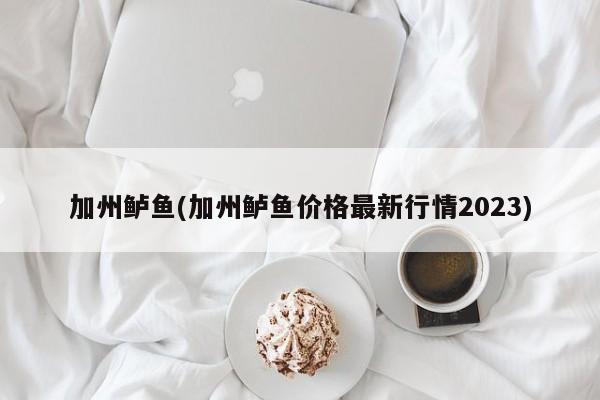 加州鲈鱼(加州鲈鱼价格最新行情2023)