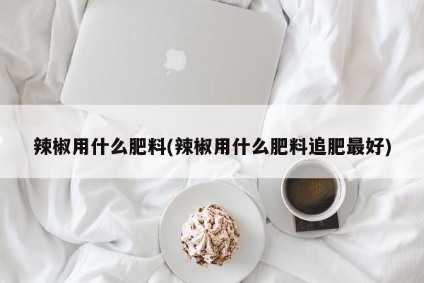 辣椒用什么肥料(辣椒用什么肥料追肥最好)