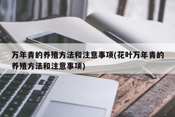 万年青的养殖方法和注意事项(花叶万年青的养殖方法和注意事项)