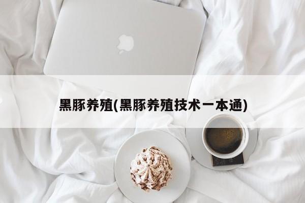 黑豚养殖(黑豚养殖技术一本通)