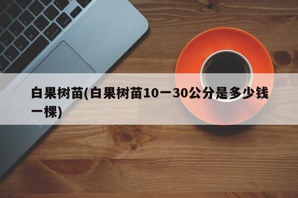 白果树苗(白果树苗10一30公分是多少钱一棵)