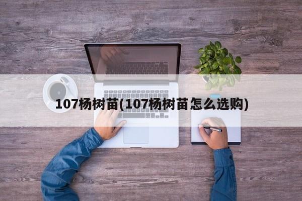 107杨树苗(107杨树苗怎么选购)