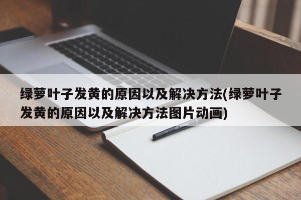 绿萝叶子发黄的原因以及解决方法(绿萝叶子发黄的原因以及解决方法图片动画)