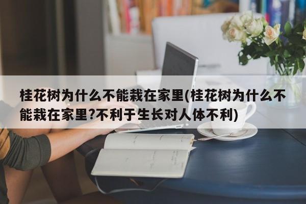 桂花树为什么不能栽在家里(桂花树为什么不能栽在家里?不利于生长对人体不利)