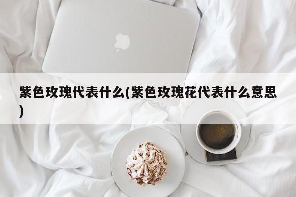 紫色玫瑰代表什么(紫色玫瑰花代表什么意思)