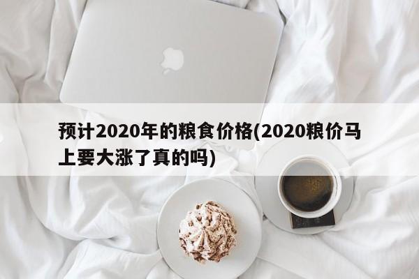 预计2020年的粮食价格(2020粮价马上要大涨了真的吗)