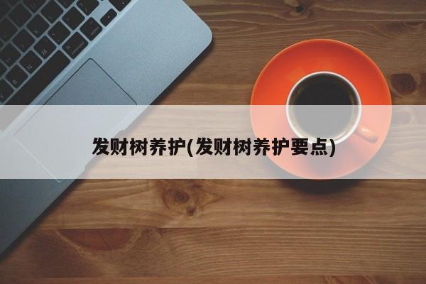 发财树养护(发财树养护要点)