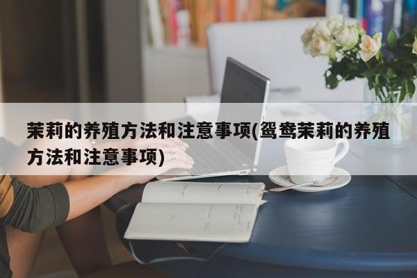 茉莉的养殖方法和注意事项(鸳鸯茉莉的养殖方法和注意事项)