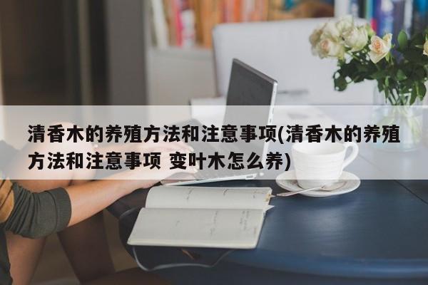 清香木的养殖方法和注意事项(清香木的养殖方法和注意事项 变叶木怎么养)