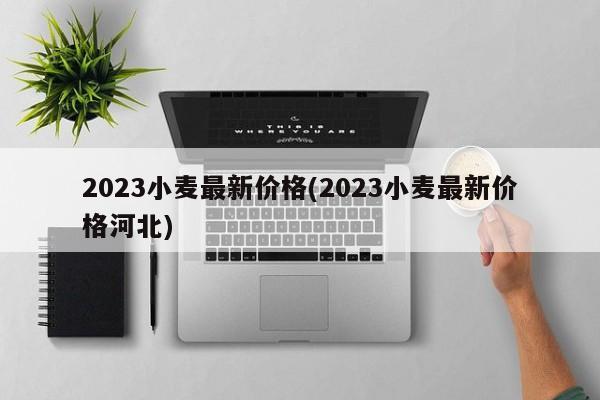 2023小麦最新价格(2023小麦最新价格河北)