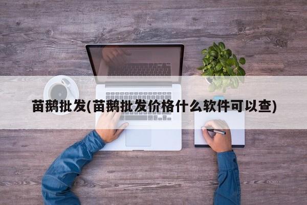 苗鹅批发(苗鹅批发价格什么软件可以查)