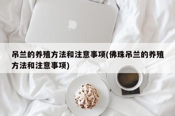 吊兰的养殖方法和注意事项(佛珠吊兰的养殖方法和注意事项)