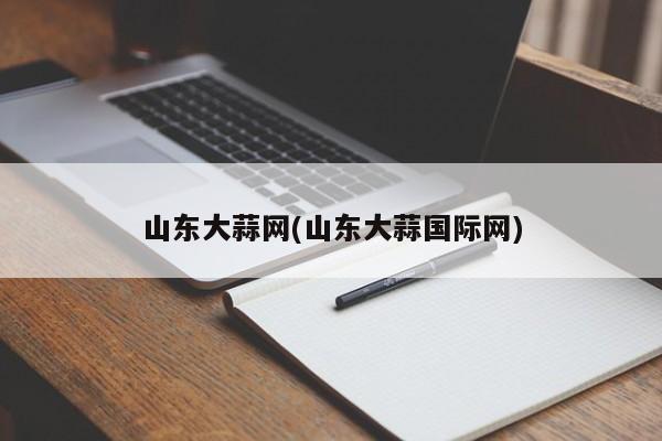 山东大蒜网(山东大蒜国际网)