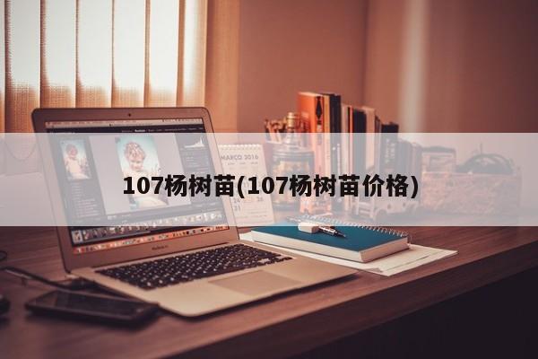 107杨树苗(107杨树苗价格)