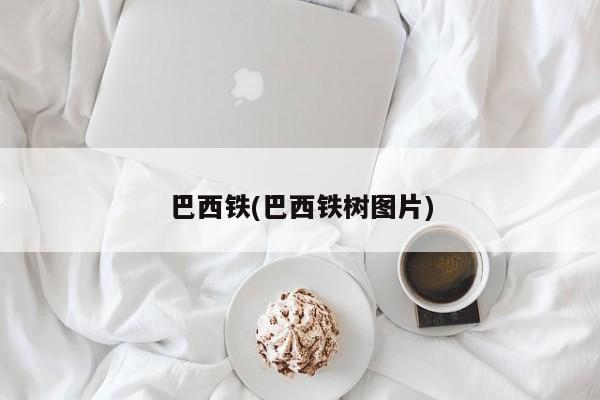 巴西铁(巴西铁树图片)