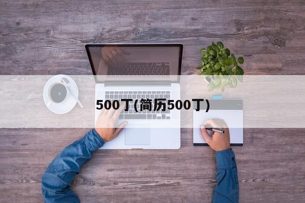 500丁(简历500丁)