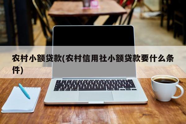 农村小额贷款(农村信用社小额贷款要什么条件)