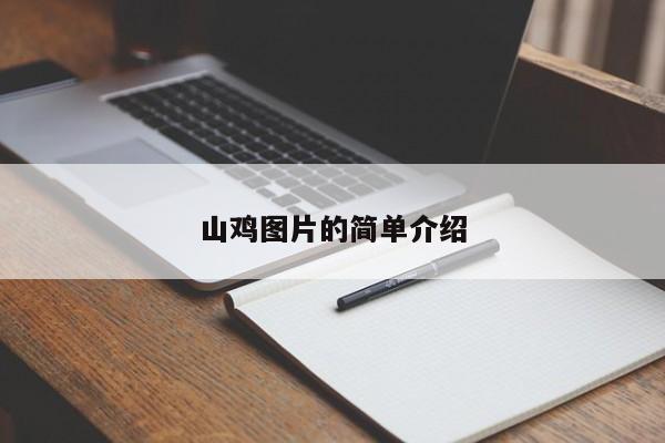 山鸡图片的简单介绍