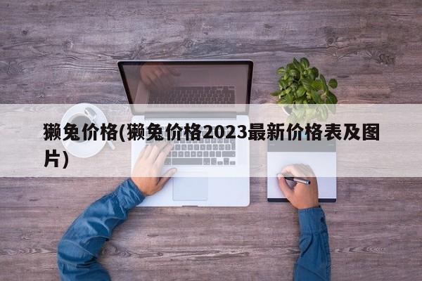 獭兔价格(獭兔价格2023最新价格表及图片)