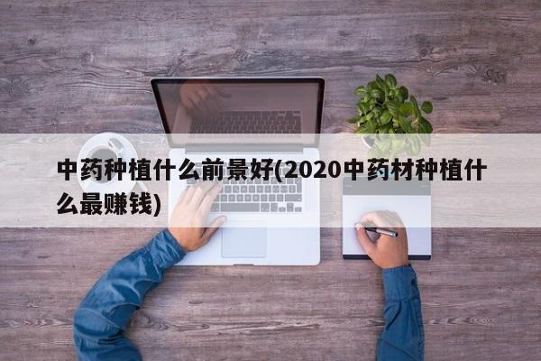 中药种植什么前景好(2020中药材种植什么最赚钱)