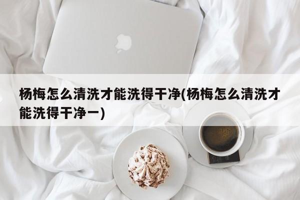 杨梅怎么清洗才能洗得干净(杨梅怎么清洗才能洗得干净一)