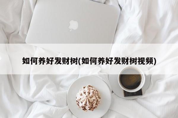 如何养好发财树(如何养好发财树视频)