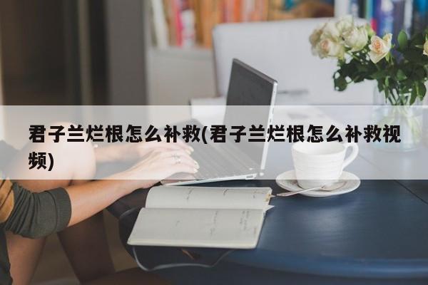 君子兰烂根怎么补救(君子兰烂根怎么补救视频)