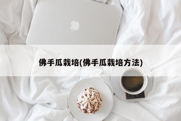 佛手瓜栽培(佛手瓜栽培方法)