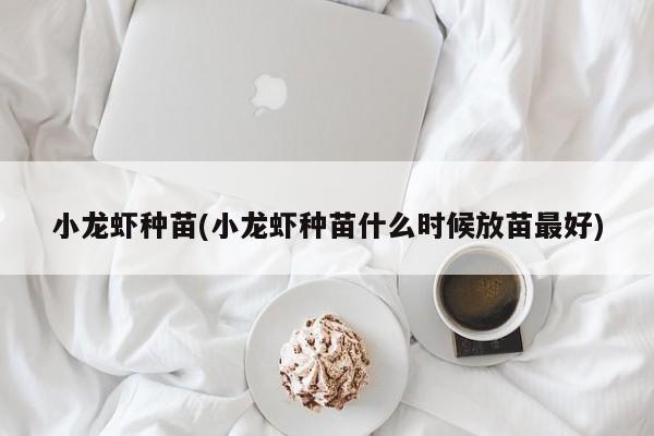 小龙虾种苗(小龙虾种苗什么时候放苗最好)