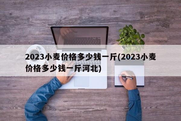 2023小麦价格多少钱一斤(2023小麦价格多少钱一斤河北)