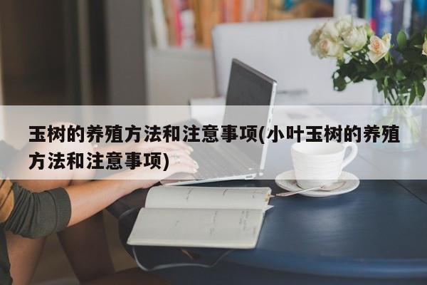 玉树的养殖方法和注意事项(小叶玉树的养殖方法和注意事项)