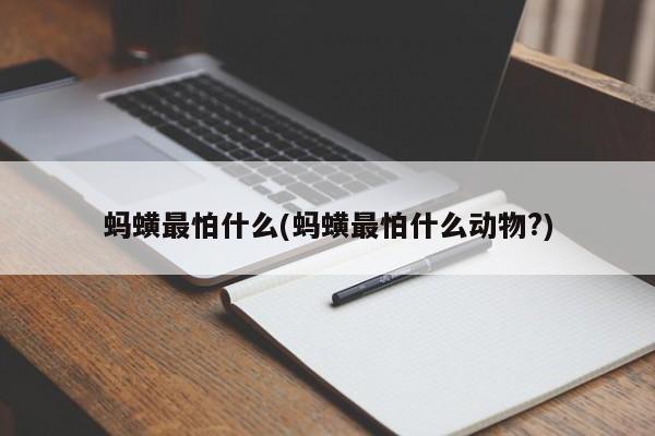 蚂蟥最怕什么(蚂蟥最怕什么动物?)