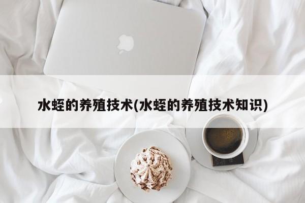 水蛭的养殖技术(水蛭的养殖技术知识)