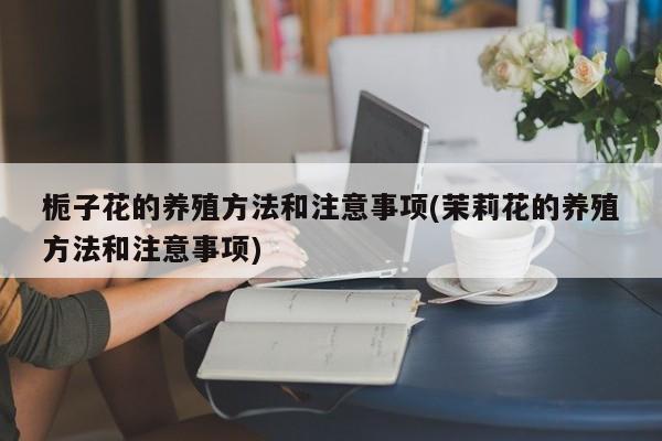 栀子花的养殖方法和注意事项(茉莉花的养殖方法和注意事项)