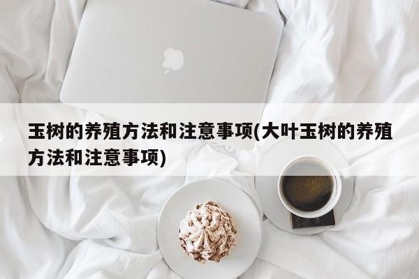 玉树的养殖方法和注意事项(大叶玉树的养殖方法和注意事项)