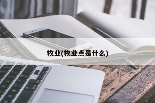 牧业(牧业点是什么)