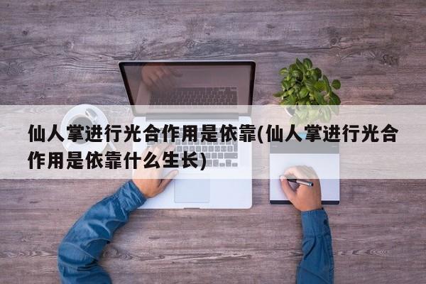 仙人掌进行光合作用是依靠(仙人掌进行光合作用是依靠什么生长)