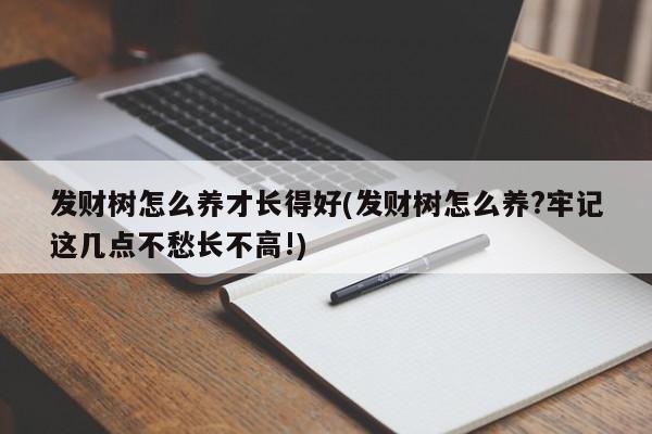 发财树怎么养才长得好(发财树怎么养?牢记这几点不愁长不高!)