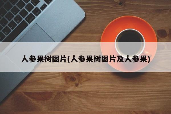 人参果树图片(人参果树图片及人参果)