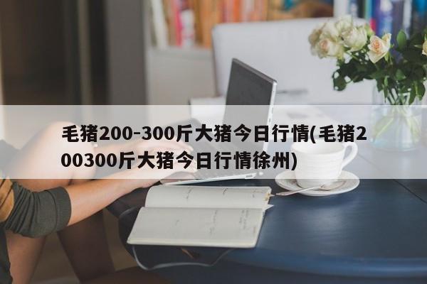 毛猪200-300斤大猪今日行情(毛猪200300斤大猪今日行情徐州)