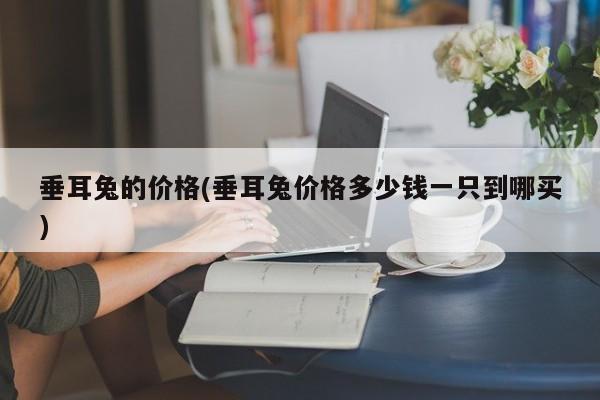 垂耳兔的价格(垂耳兔价格多少钱一只到哪买)