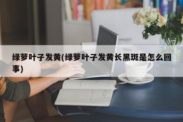 绿萝叶子发黄(绿萝叶子发黄长黑斑是怎么回事)